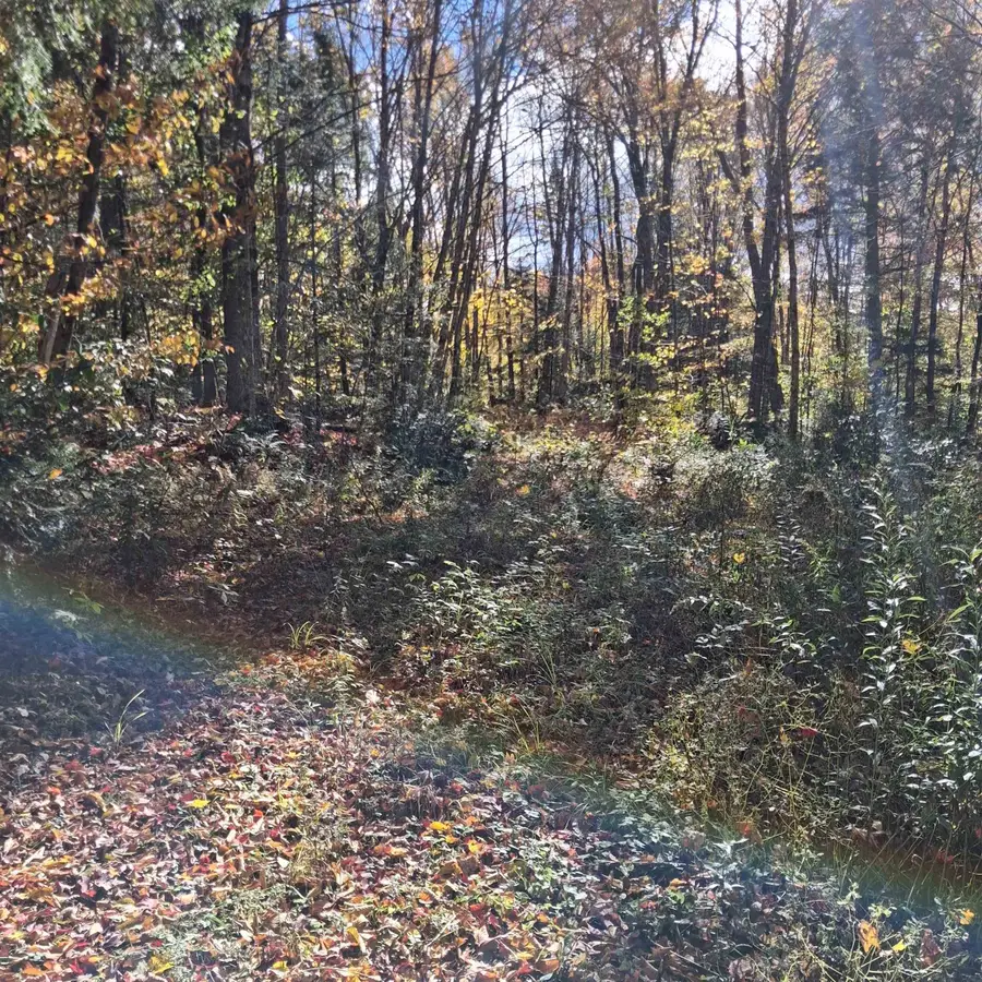 0000 Oak Lane, Eden, VT 05652 - #3