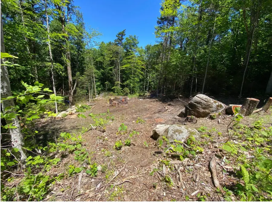 Rue Madeline, Readsboro, VT 05350 - #3