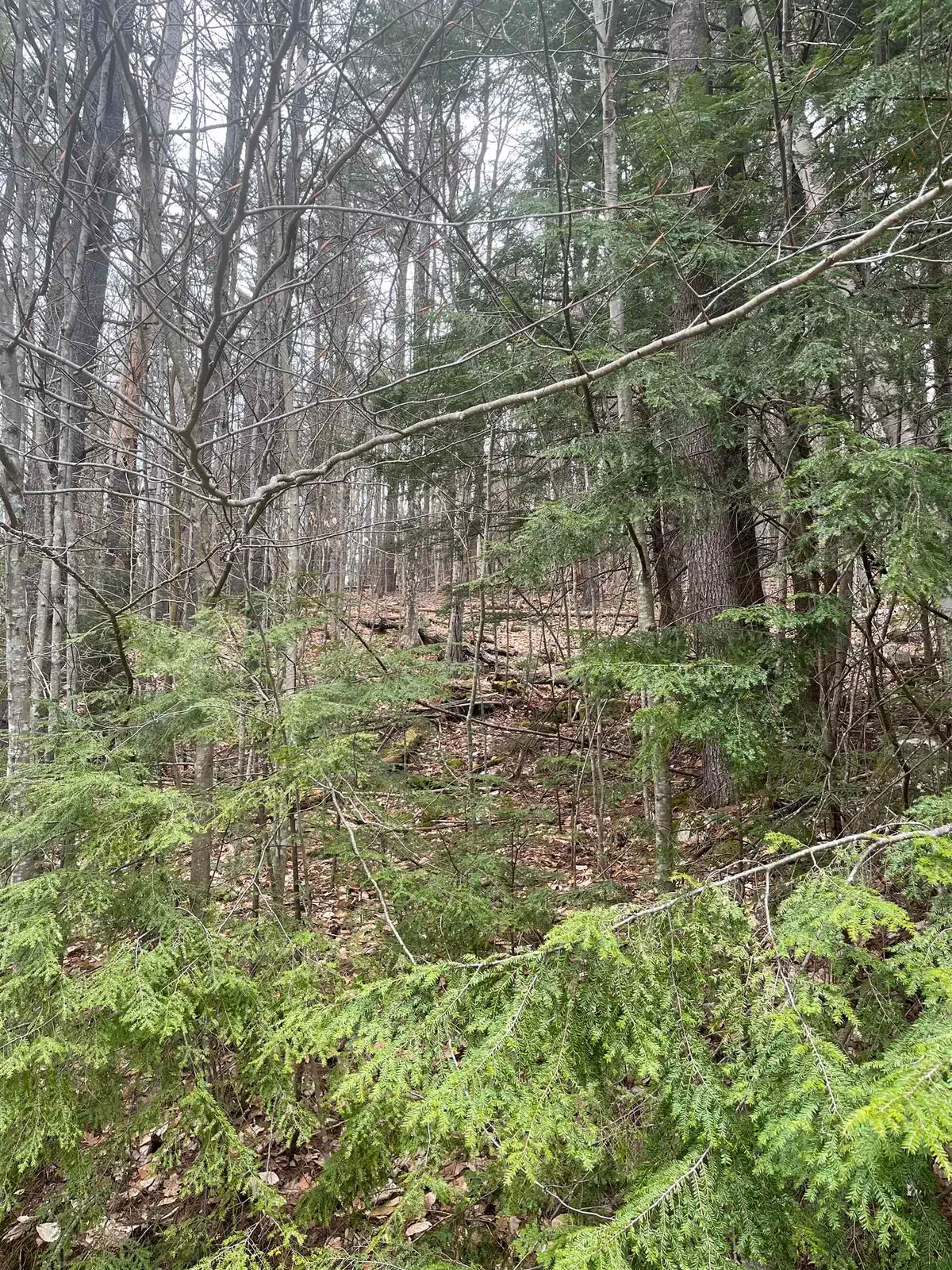 10-4-2 David Thompson Drive, Campton, NH 03223 - #1