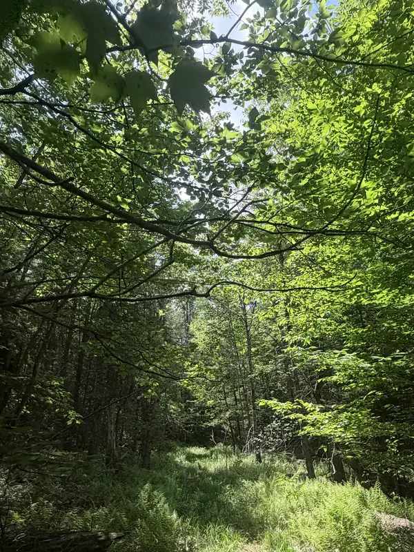 Whitcher Road, Newport, NH 03773