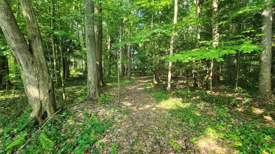 Towle Avenue #Map 161 Lot 44, Hampton, NH 03842 - #3