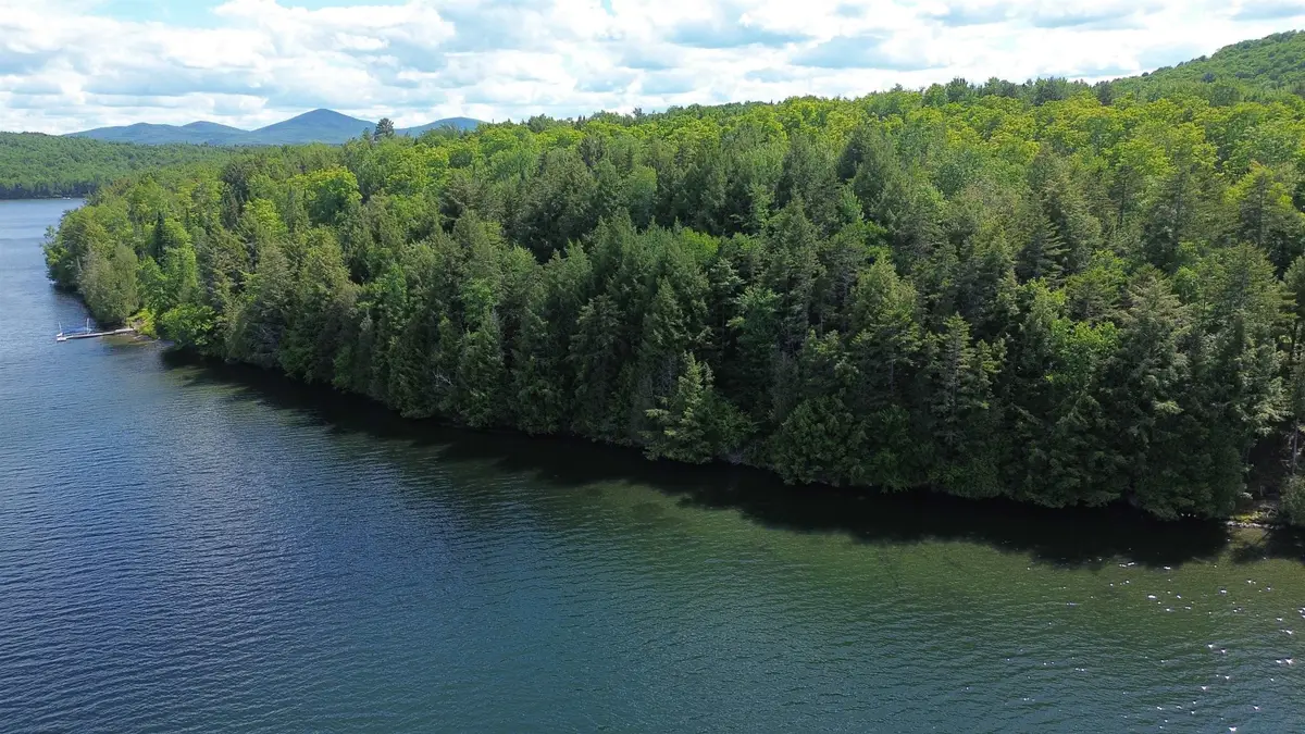 1220 Camp Winape Road, Morgan, VT 05829 - #1
