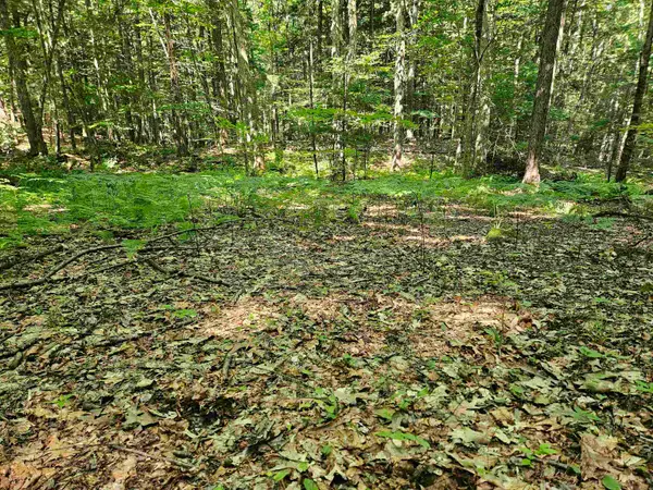 234 Old Cheshire Turnpike, Walpole, NH 03608