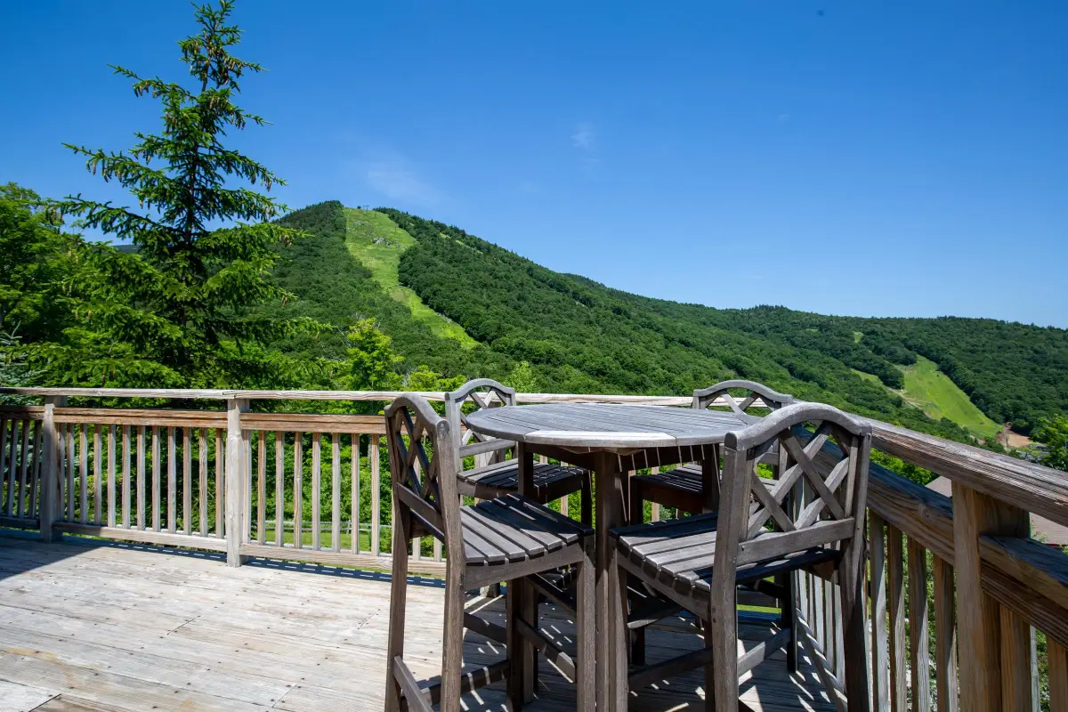 68 Upper Sundog Drive #20B, Killington, VT 05751 - #1
