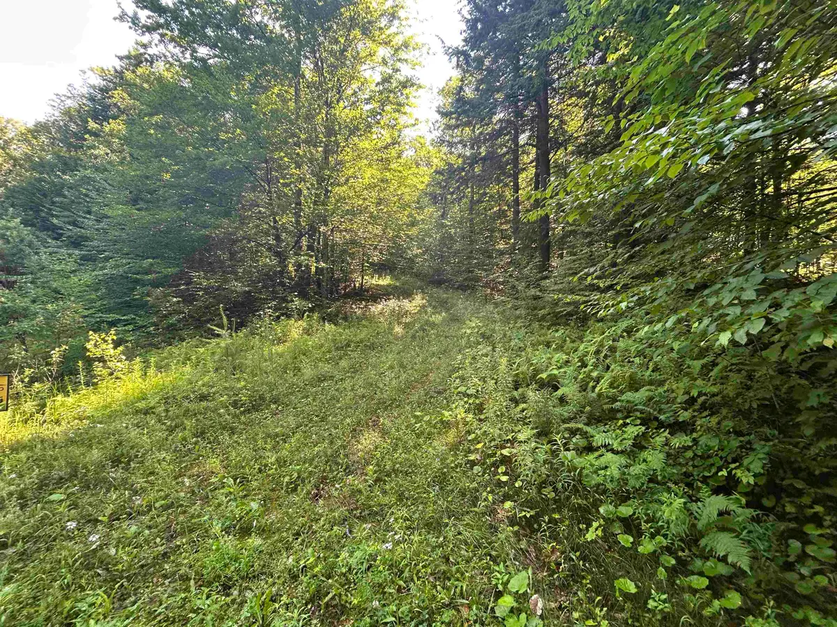 0 Rose Lane #Lot, Londonderry, VT 05148 - #1