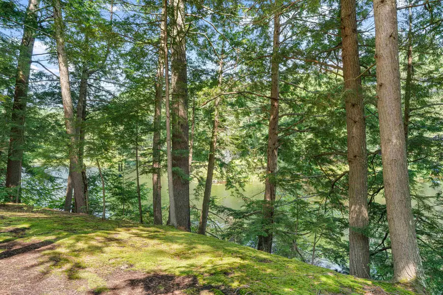 151 New Hampshire Drive, Webster, NH 03303 - #3