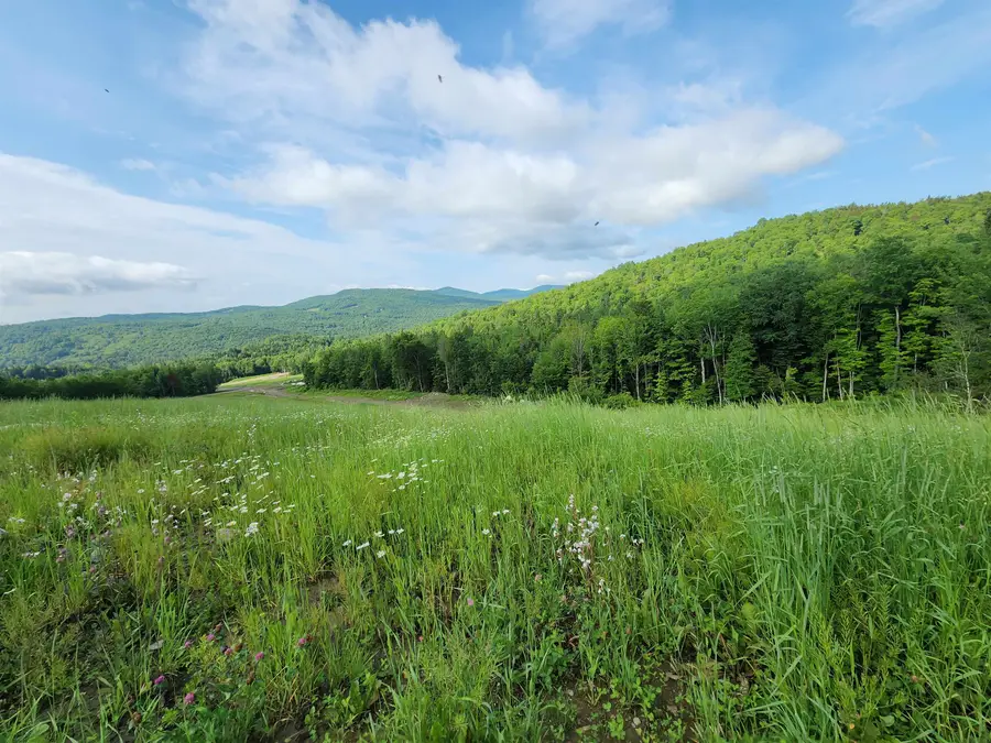 LOT 3 Ginnie Lane #R020-0010-0003, Errol, NH 03579 - #3