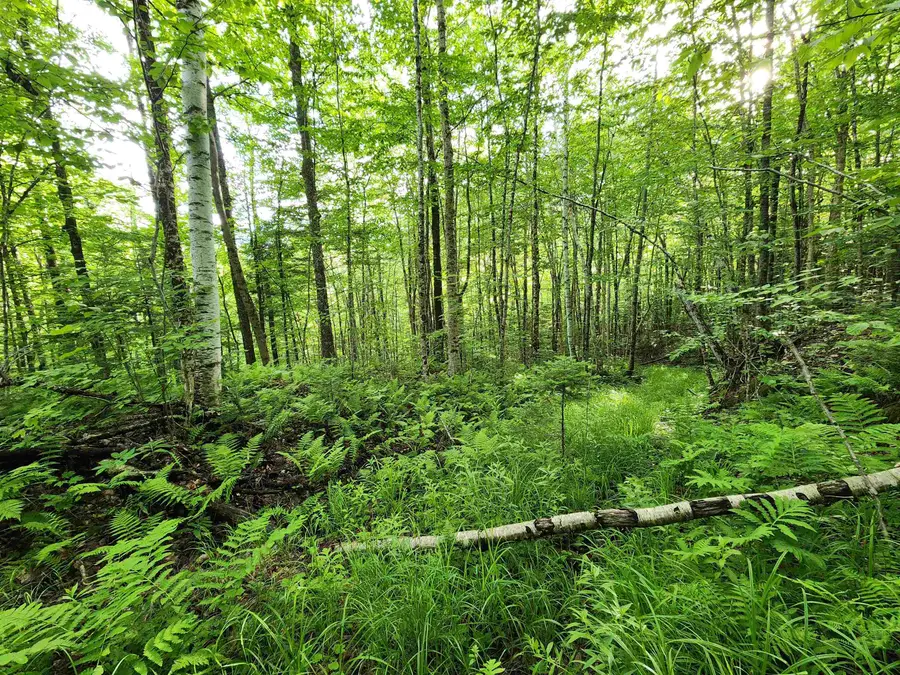 Lot 18 Ginnie Lane #R020-0010-0018, Errol, NH 03579 - #2