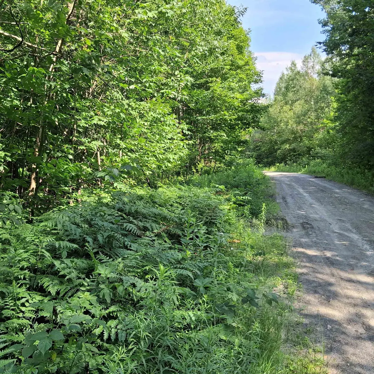 0000 Ballground Road #1-5, Westfield, VT 05874 - #1