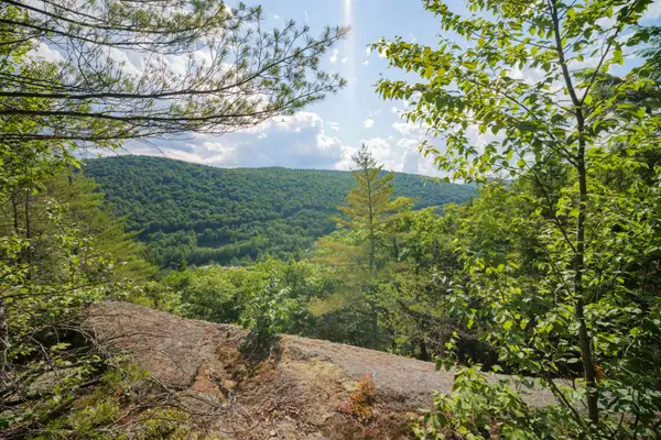 00 Howe Farm Road, Jamaica, VT 05343