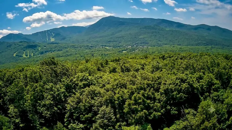 0 Sweeney Lane #49/50, Cambridge, VT 05464 - #2