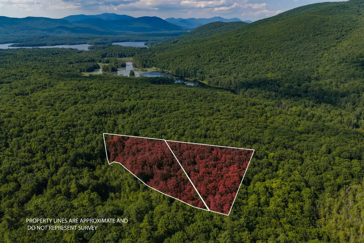 Lot 4.1 Tommy Lot Road, Moultonborough, NH 03254 - #1