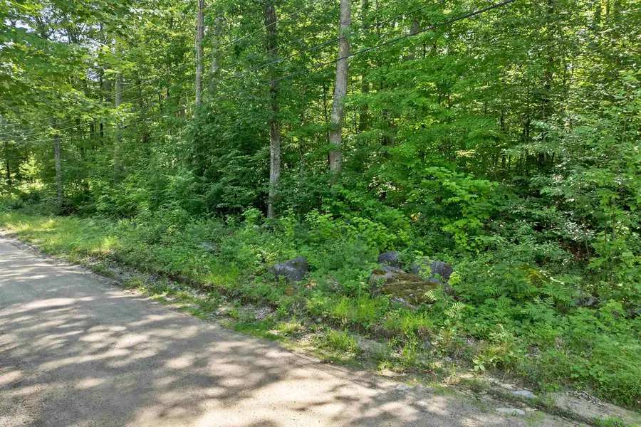 28 Geneve Street #Lots 7 & 8 of Section I, Moultonborough, NH 03254 - #3