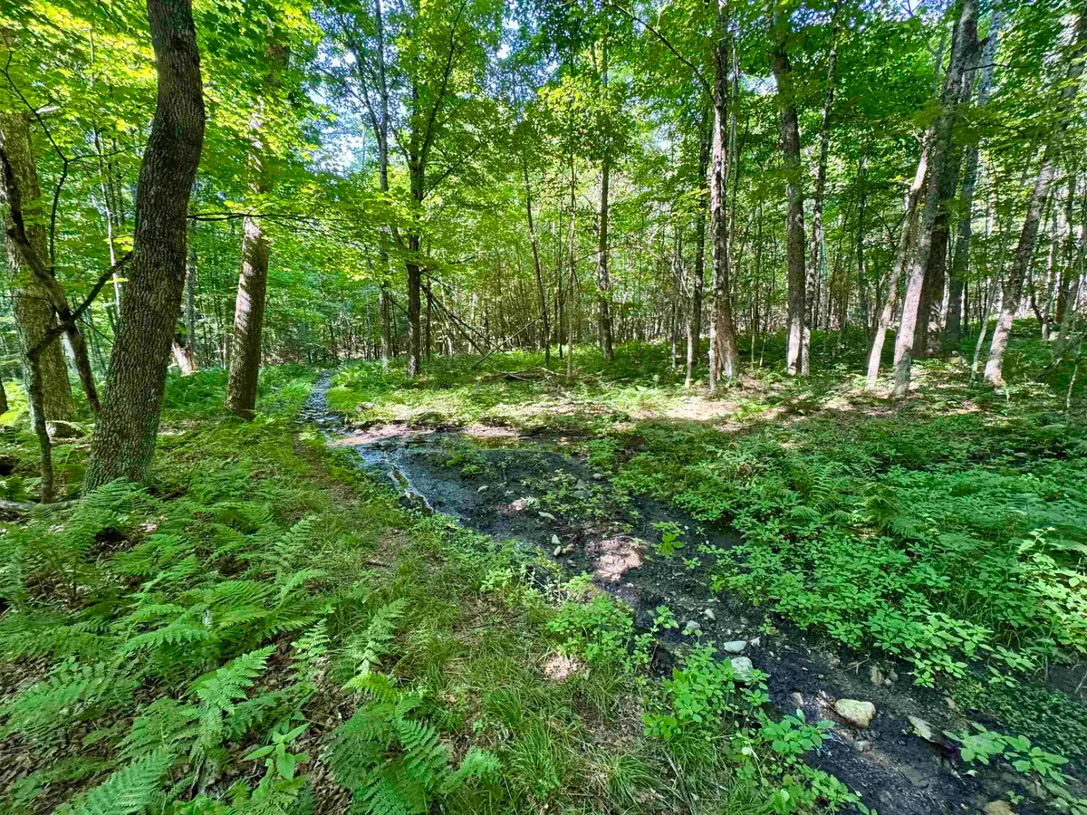 00 Mountain Road, Bath, NH 03740 - #1