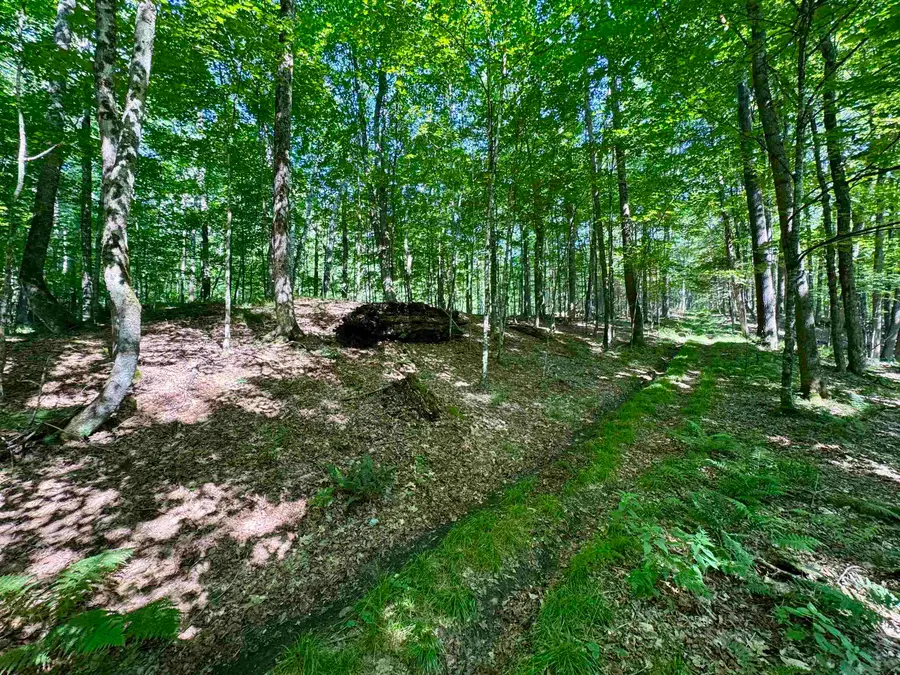 00 Mountain Road, Bath, NH 03740 - #2