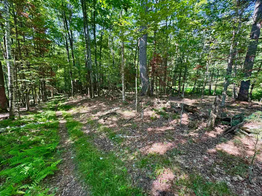 00 Mountain Road, Bath, NH 03740 - #3