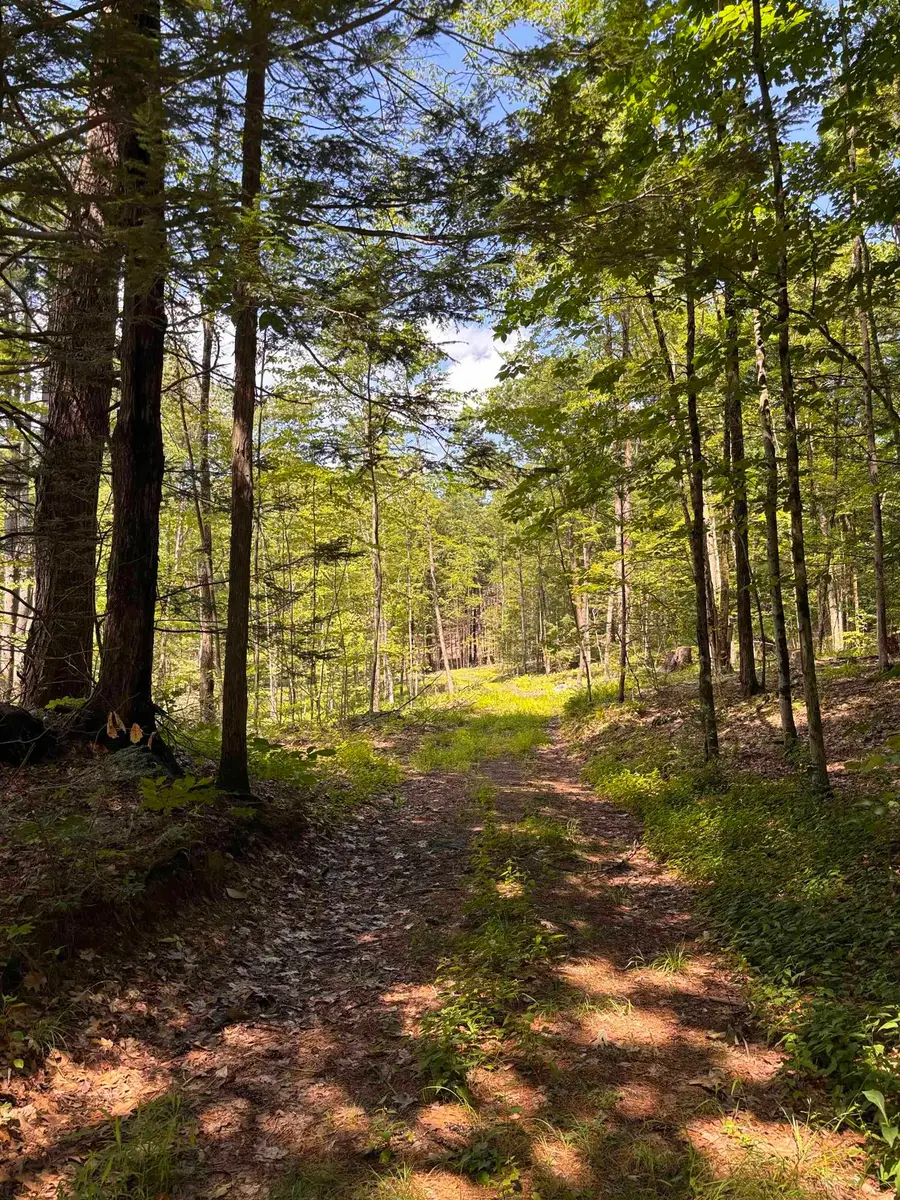 Lot 1&2 Tower Hill Road, Hinsdale, NH 03451 - #2