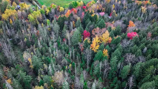 1021 Woods S Road, Warren, VT 05674