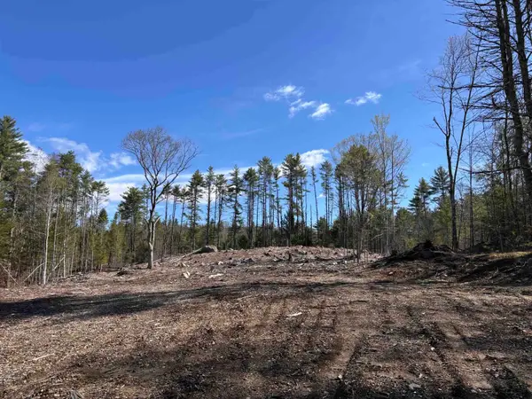 L:64 & 65 Old Turnpike Road, Richmond, NH 03470