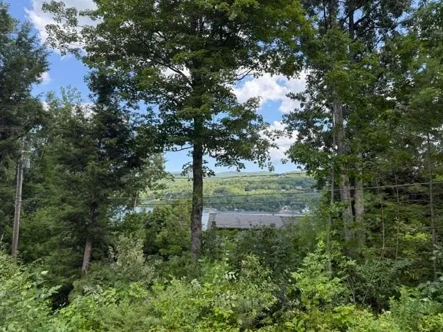 31 Don Gerry Road #17, Bristol, NH 03222-3770 - #2