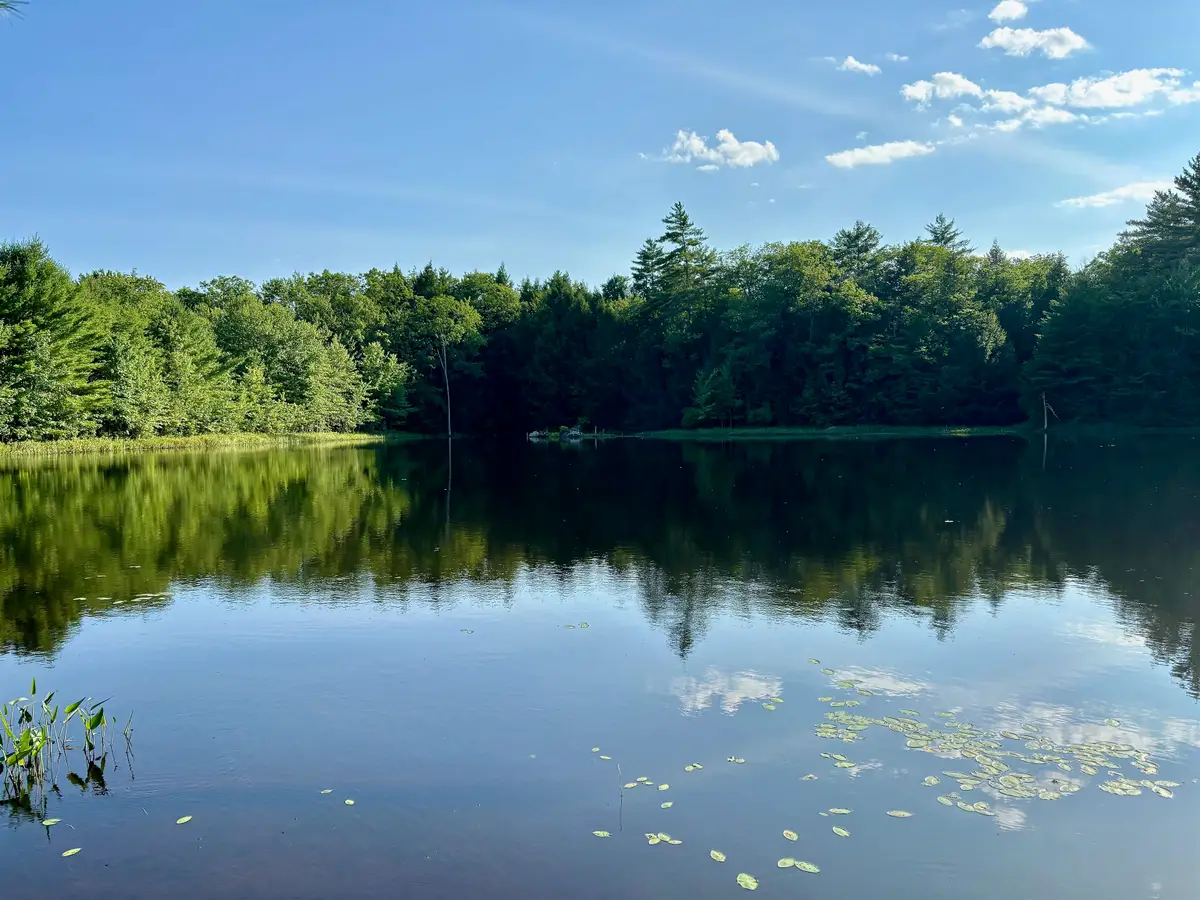 307 Burnt Hill Road, Warner, NH 03278 - #1