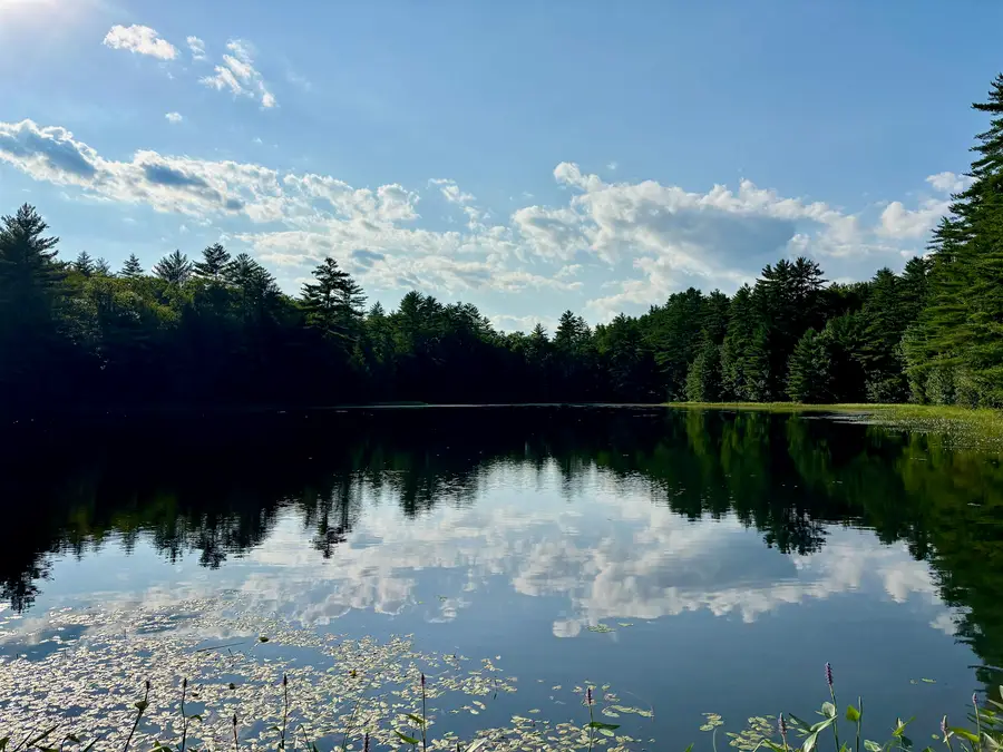 307 Burnt Hill Road, Warner, NH 03278 - #2