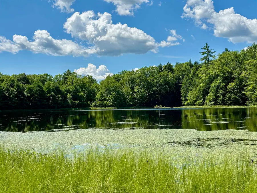 307 Burnt Hill Road, Warner, NH 03278 - #3