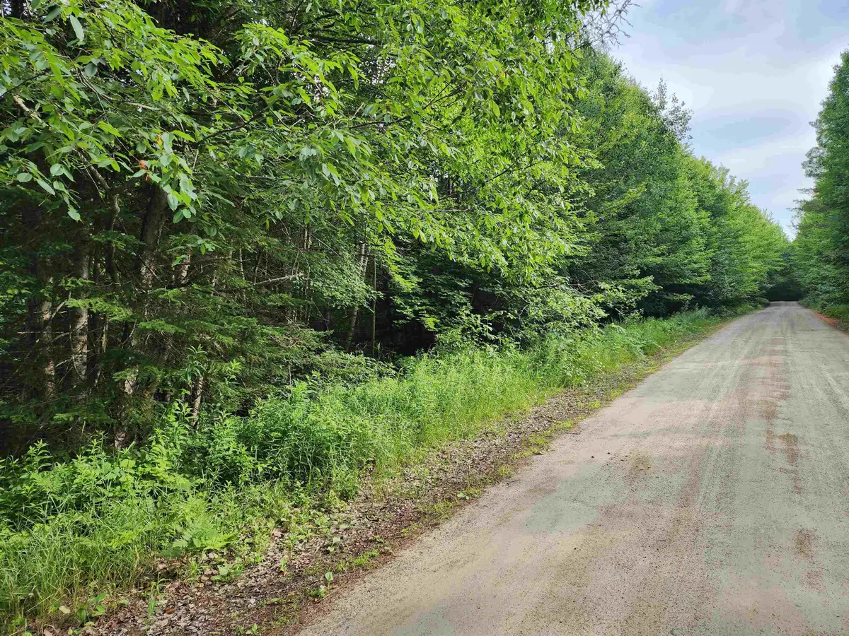 Lot 3 North Mountain Pond Road #R11/2-1, Errol, NH 03579 - #1