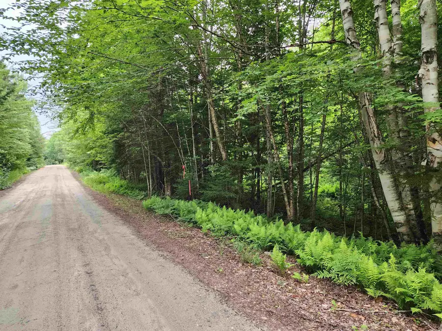 Lot 3 North Mountain Pond Road #R11/2-1, Errol, NH 03579 - #2