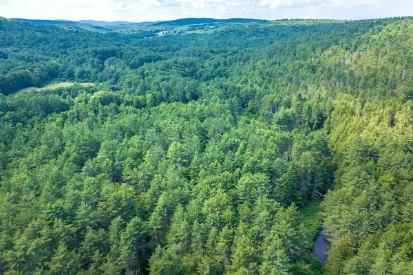 40 E Putney Brook Road, Putney, VT 05346