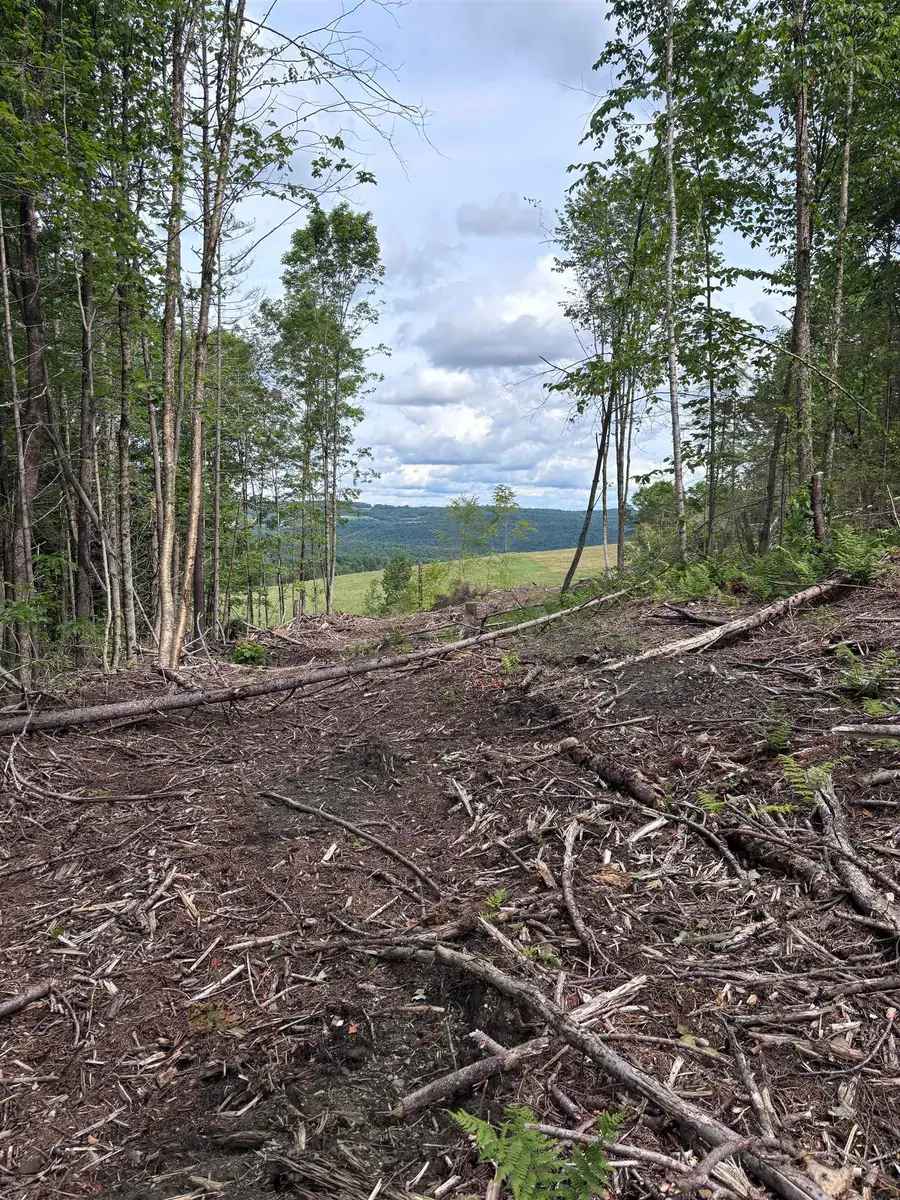 0 Davis Acres Road, Brookfield, VT 05060 - #2