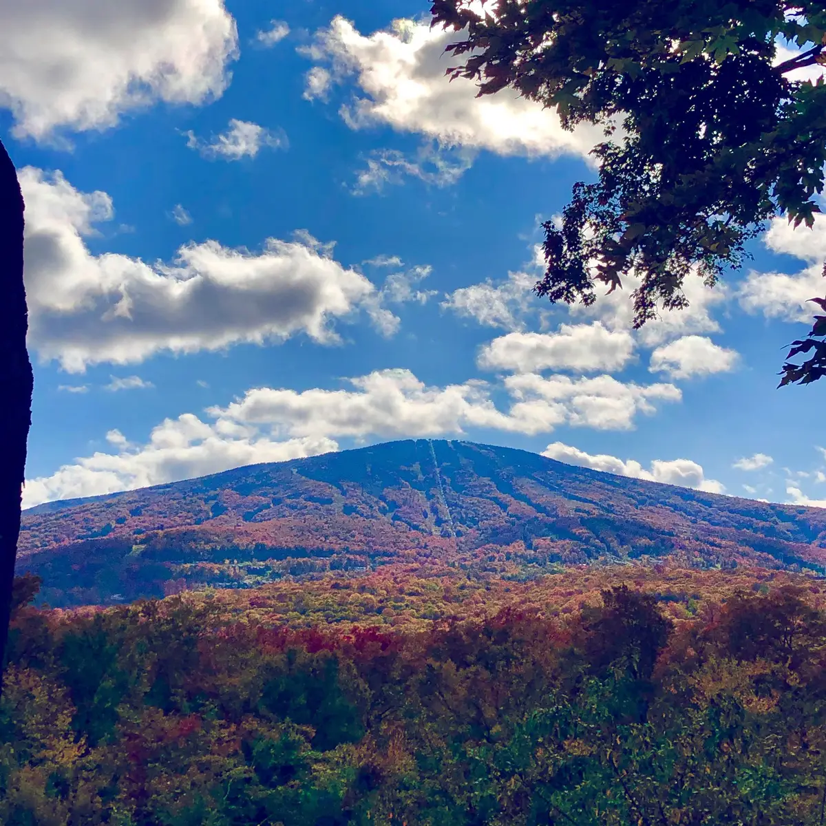 0 Mountain Haunts, Winhall, VT 05340 - #1