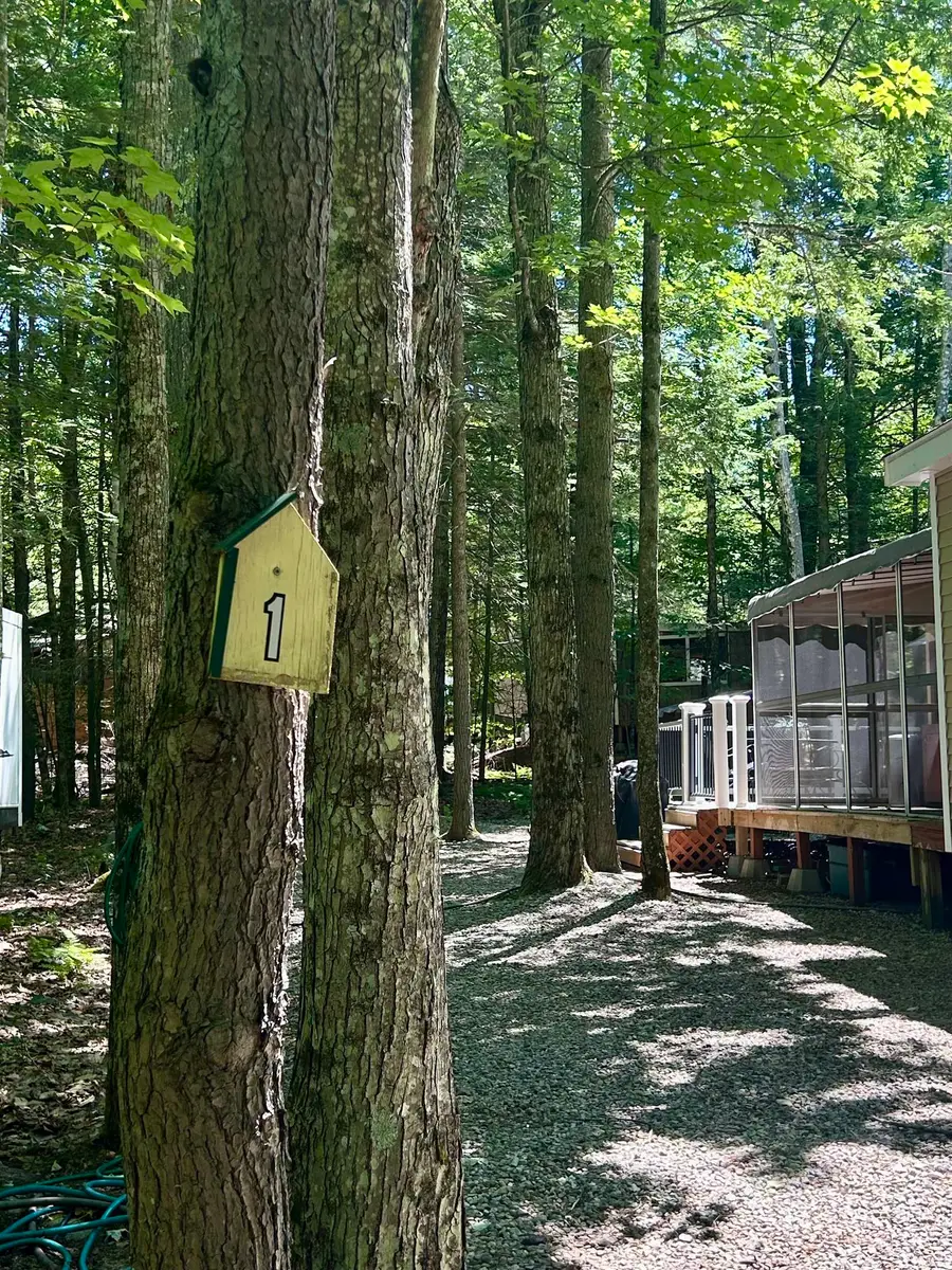 65 Barrett Place #1, Moultonborough, NH 03254-4700 - #2