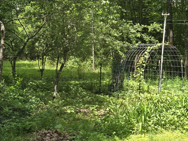 208 NH Route 3A, Hill, NH 03243