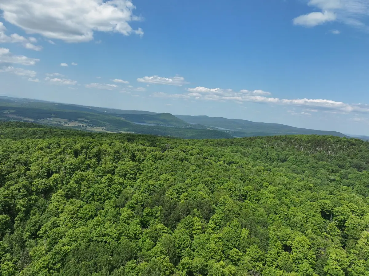 224 Paradise Lane, Charleston, VT 05872 - #1