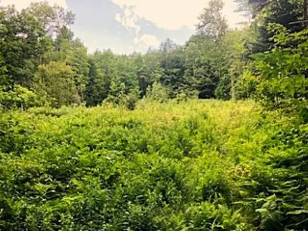540 Shampeny Hill Road, Hancock, VT 05748