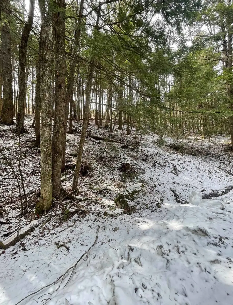 000 Hinkley Brook Road, Grafton, VT 05146 - #3