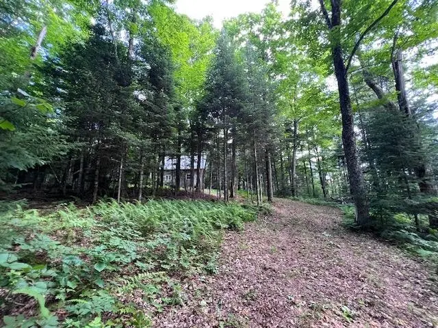 528 Paradise Lane, Charleston, VT 05872 - #2