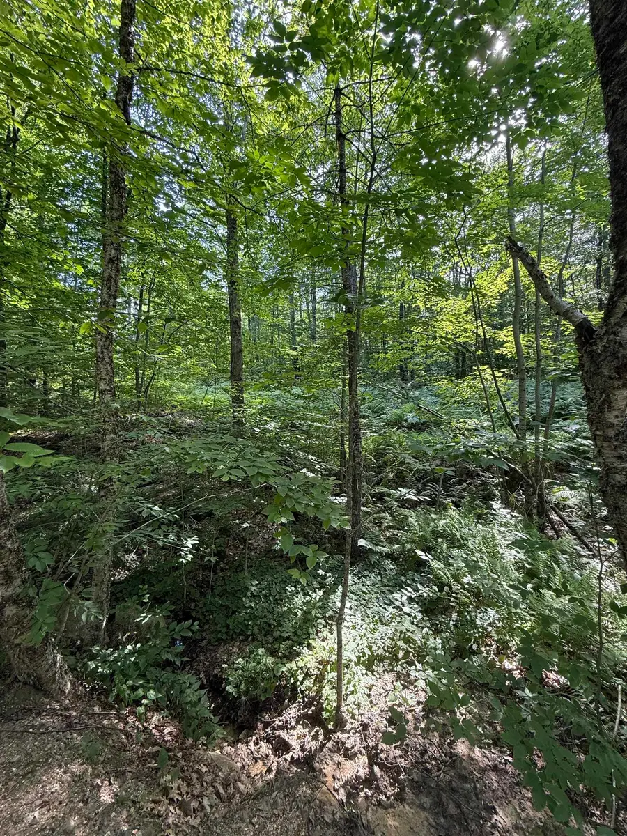 22 Wadleigh Road, Sanbornton, NH 03269 - #3