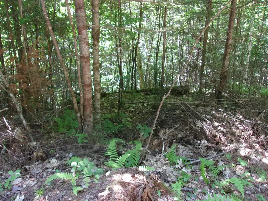 Swiftwater Circle #177, Mountain Lakes, NH 03785 - #3