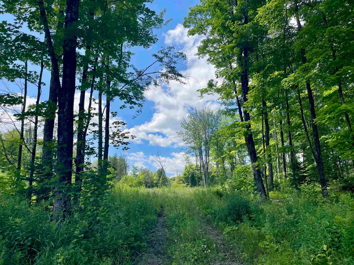 2209 Underpass Road, Sutton, VT 05867 - #1