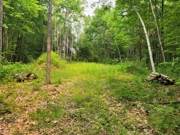54 Fullam Pond Road, Winchester, NH 03470