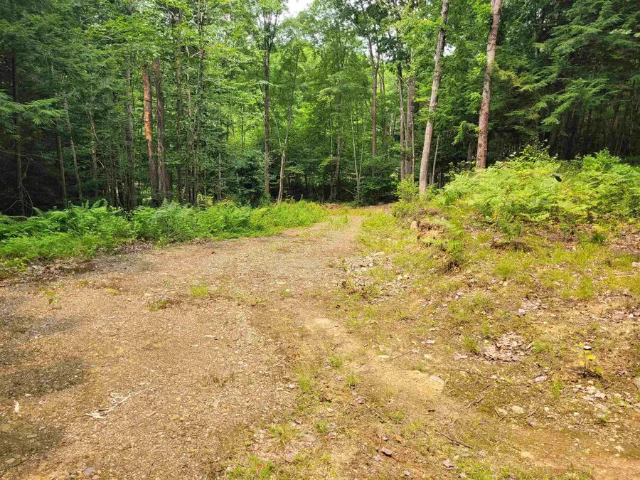54 Fullam Pond Road, Winchester, NH 03470 - #3