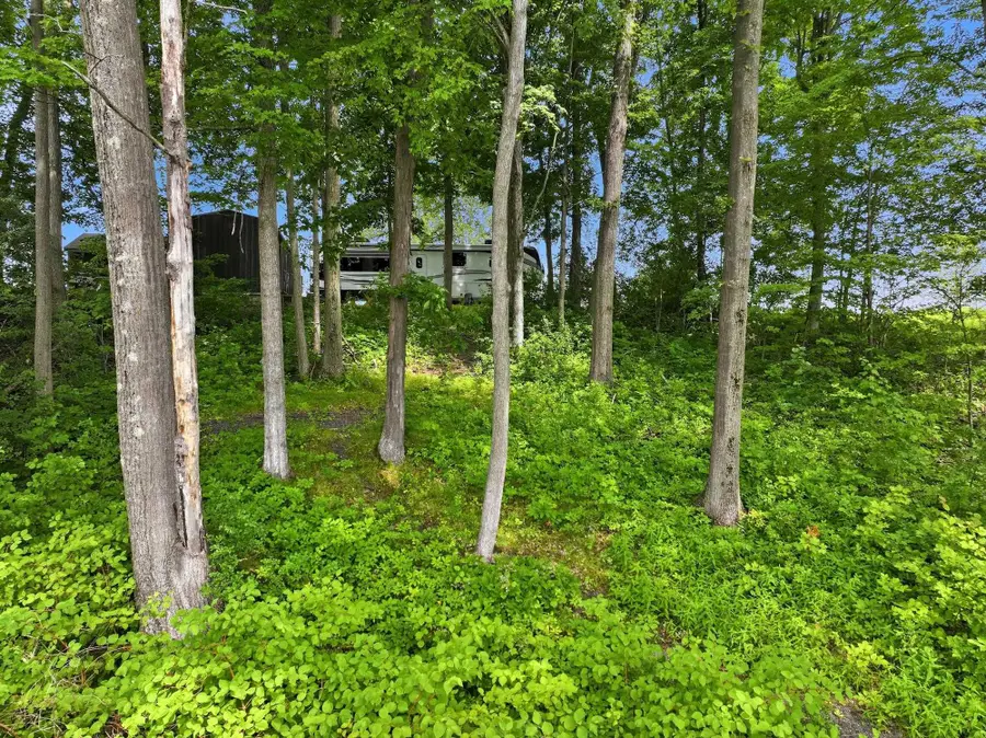 364 Delong Lane, Shoreham, VT 05734 - #3