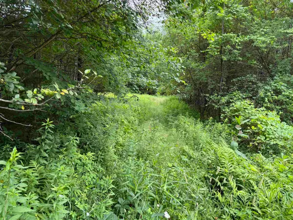 90 Stone Hill Road, Rumney, NH 03266