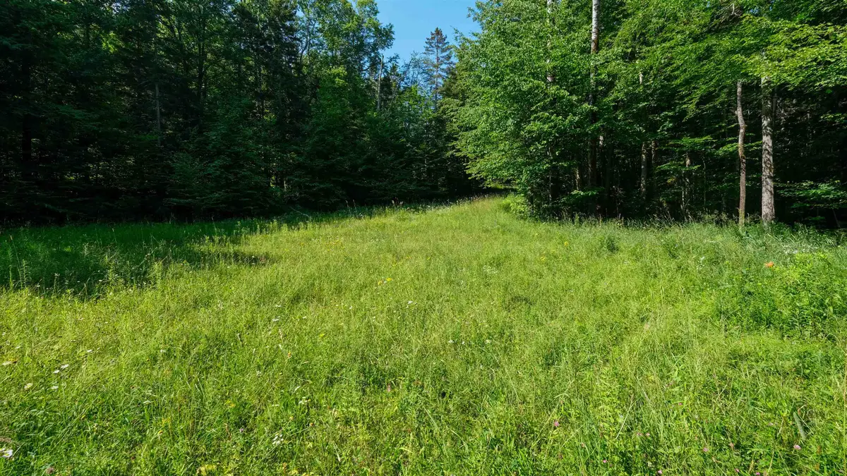 0 Berry Patch Lane, Ludlow, VT 05149 - #1