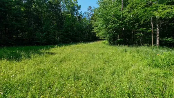 0 Berry Patch Lane, Ludlow, VT 05149