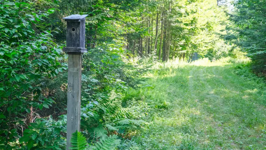 0 Berry Patch Lane, Ludlow, VT 05149 - #2