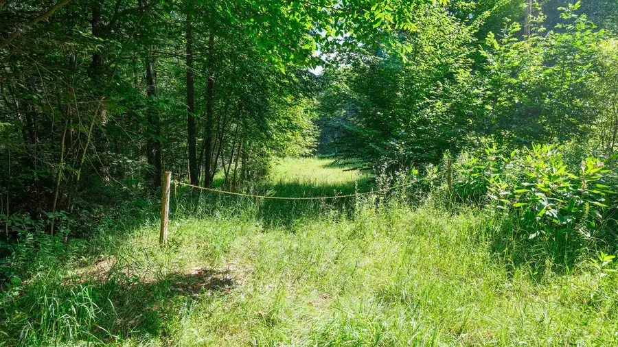 0 Berry Patch Lane, Ludlow, VT 05149 - #3