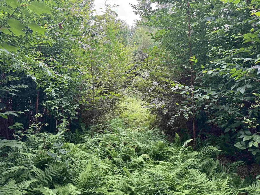 185 Valley View Road, Dover, VT 05356 - #2